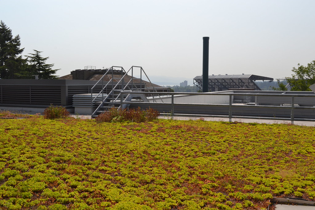 basement waterproofing companies 